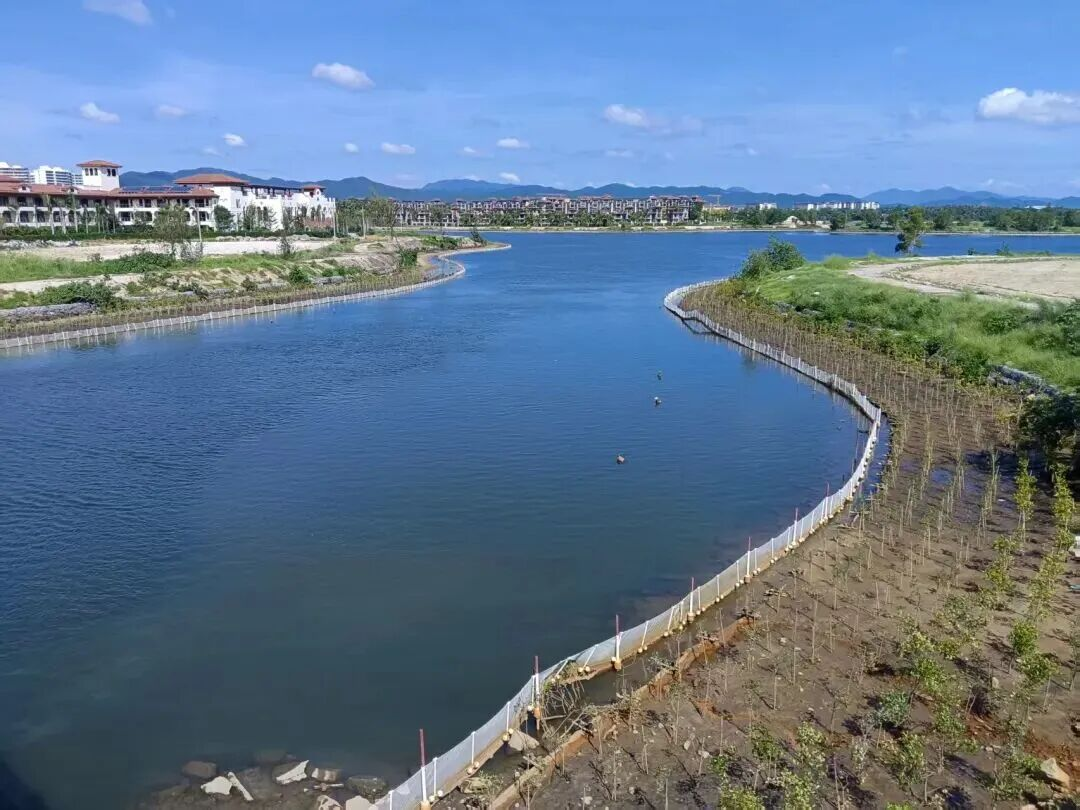 三亞環(huán)農(nóng)集團：加力提速抓項目 全力以赴拼經(jīng)濟